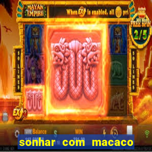 sonhar com macaco o que significa